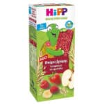 Hipp Bio Μπάρες Βρώμης-Βατόμουρο και Φράουλα 100g 5 Τεμάχια